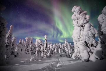 Фото номера Дом с 2 спальнями Дома для отпуска Lapland Lodge Pyhä - Ski in - ski out, sauna г. Пухатунтури 47